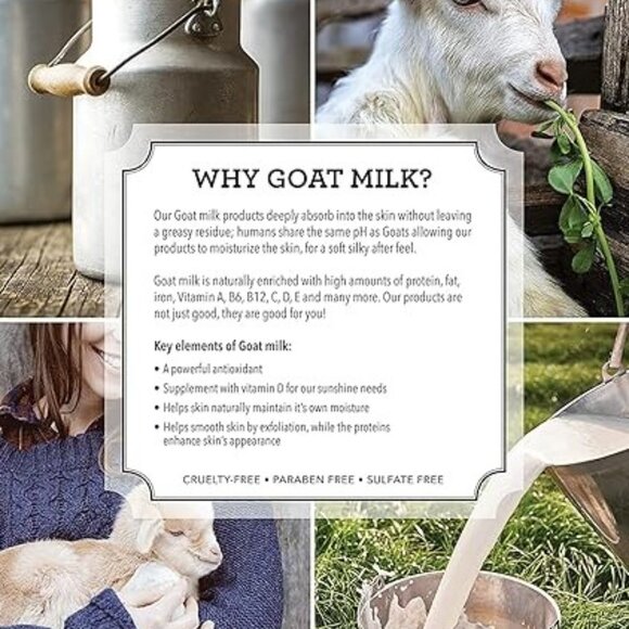 SEALED Dionis Eucalyptus Hand & Body Goat Milk Cream - 3.3oz - Picture 2 of 7